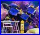 3D_Blue_Purple_Fish_Coral_27042NA_Wallpaper_Wall_Murals_Removable_Wallpaper_Fay_01_pbr